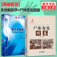 [正版]尸体变化图鉴+系统解剖学(第9版) 二套装 法医学专业书籍教材 会说话的尸体 搭配尸体解剖 法医看解刨读尸体的变