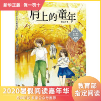 官方正版 肩上的童年曹文芳水乡童年精品书系列 曹文芳儿童文学作品 四五六年级小学生青少年初中生课外阅读书籍