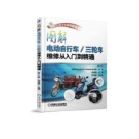 图解 电动自行车/三轮车 维修 从入门到精通 第2版 刘遂俊 主编 充电器 控制器 蓄电池 电动机 电源锁 调速转把 刹