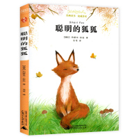 聪明的狐狐 正版 亲近母语经典童书权威译本 三四五六年级小学生课外阅读书籍儿童文学故事书 老师推荐版本广西师范大学出版社