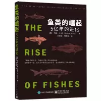 鱼类的崛起5亿年的进化 会走路呼吸空气鱼 深海怪兽鱼类化石 两栖动物爬行动物鸟类哺乳动物进化 古生物学 青少年成人科普图