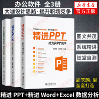 [3本套]精进PPT 成为PPT高手+成为word高手+Excel数据分析 技术与实践 计算机基础教程 计算机基础教程