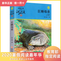 巨蜥母亲沈石溪正版书动物小说品藏书系升级版小学生课外阅读书籍6-12岁青少年版儿童文学三四五六年级儿童文学浙江少年儿童出