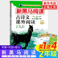 新黑马阅读二年级 古诗文课外阅读 黑马阅读 小学生2年级上下册 语文古诗词文言文小学生同步拓展阅读专项训练专项训练 正版