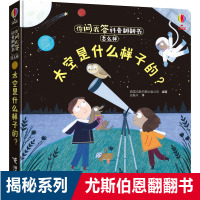 正版 尤斯伯恩你问我答科普翻翻书怎么样之太空是什么样子的 为学前儿童打造科普启蒙读物 0-3-6岁亲子教育幼儿绘本认知启