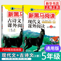 新黑马阅读 古诗文课外阅读+现代文课外阅读 全2册 黑马阅读五年级 语文古诗词文言文小学生同步拓展阅读专项训练 通用版正