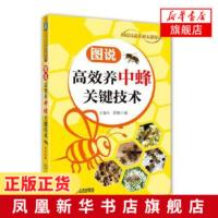 图说高效养中蜂关键技术 土蜜蜂养殖技术书籍中蜂高效养殖技术大全 实用养蜂技术 中华蜂大全书籍 养蜂书科学饲养蜜蜂病害防治