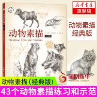 动物素描(经典版) 从简单的速写开始 把基础图形完善成生动的动物 临摹教材 自学零基础 铅笔素描 猫咪狗狗的艺术 新华