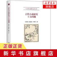 古代小说研究十大问题 刘勇强潘建国李鹏飞著 桃园三结义稗家十问题 对古代文学研究前沿借鉴价值探讨古代小说研究 文学评论与