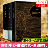 【王小波三部曲套装】黄金时代+白银时代+青铜时代全套3册 精装纪念版 王小波作品 现当代文学随笔书籍王小波的书新华书