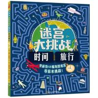 [官方正版]迷宫大挑战 时间旅行3-4-5-6岁儿童启蒙认知益智游戏书籍开发大脑早教启蒙专注力观察力逻辑思维能力训练书宝