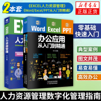 【2本套】Word/Excel/PPT从入门到精通+EXCEL人力资源管理 数字化管理手册 办公软件教程书wps表格pp