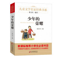 少年的荣耀 李东华著小学生课外书籍一二四五六年级课外经典书目统编语文教材拓展阅读书目著名作家与教育专家联合推荐