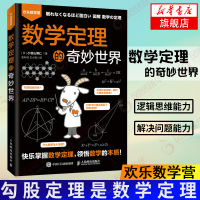 数学定理的奇妙世界 趣味数学 数学家 逻辑思维 好玩儿的数学 爱上数学 融入生活的数学定理儿童数学启蒙书【新华书店旗舰店