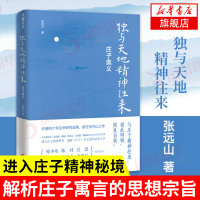 独与天地精神往来:庄子奥义 张远山著 说庄子 国学经典名著书籍 中国哲学入门书理论书籍汉语文学哲学奇迹[新华书店旗舰店官