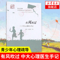 有风吹过 中大心理医生手记 杜恩 袁勇贵 青少年心理读物 青少年心理疏导书心理健康书籍 心理咨询与辅导书 心理健康教育