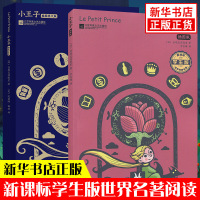 全2册 小王子英文版原版 插图英文版小学生课外英语补充知识 儿童英语乐趣养成训练搭配中英双语读物 新华正版