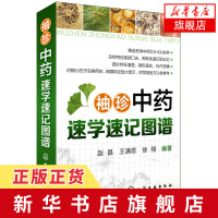 袖珍中药速学速记图谱 常用中药饮片400余种 总结特征鉴别口诀 常见中药饮片 中药饮片鉴别知识大全 中医学入门 新华书店