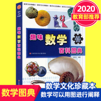 正版 趣味数学百科图典田翔仁著全国多媒体教育软件一等奖d一名数学简史拓展数学视野精选经典数学趣题培养数学思维展现数学之美