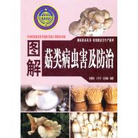 图解菇类病虫害防治 黄桃阁,王生军,史国敏 编著 正版书籍 新华书店旗舰店文轩 中原农民出版社 畜牧/养殖专业科技
