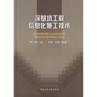 深基坑工程信息化施工技术 林鸣 正版书籍 新华书店旗舰店文轩 中国建筑工业出版社 建筑/水利（新）专业科技