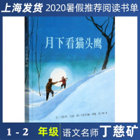[凯迪克金奖]月下看猫头鹰 信谊精装绘本3-6-8岁幼儿亲子阅读故事图画书籍 家庭亲子情商睡前读物图书本新英格兰100本