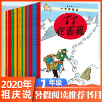中国少年儿童出版社丁丁历险记全套22册漫画书月球探险神秘的流星七个水晶球埃尔热小学生一二三年级课外书非注音必读绘本6-8