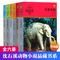 全6册 沈石溪动物小说品藏全集系列作品 11-14岁中国儿童文学 课外阅读 大鱼之道牧羊神豹虎娃金叶子导盲犬迪克刀疤豺