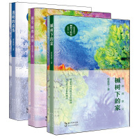 席慕蓉散文全集3册 透明的哀伤+前尘昨夜此刻+槭树下的家 长江文艺出版社