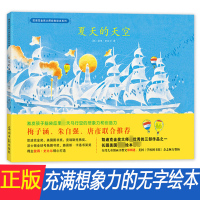 夏天的天空 绘本硬壳精故事书幼儿园3-6-8周岁幼儿图画书自然科普读物激发孩子想象力与创造力 凯迪克奖大师彼得史比尔小学