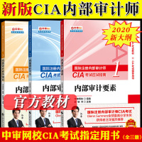 2020年新大纲版国际注册内部审计师CIA考试应试指南123部审计要素+实务+业务知识全三本中审网校内部审计师教材中国财
