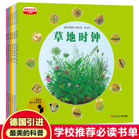 最美的科普四季时钟系列草地时钟全6册四年级少年版大地太阳树木蝴蝶草地花小学生图画6-12岁儿童百科绘本游戏中的科学三年级