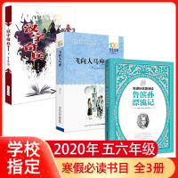 五六年级课外阅读书籍全3册飞向人马座汉字奇兵鲁滨孙漂流记小学生课外阅读书籍2020年寒假阅读书目班主任老师推荐汉子奇兵