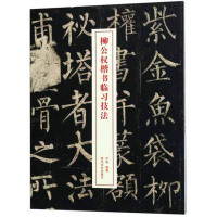 柳公权楷书临习技法 历代名家碑帖 玄秘塔碑 柳体书法技法楷书入门教程 书法爱好者入门教材 毛笔书法临摹字帖 楷书入门