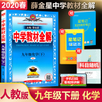 2020春新版薛金星中学教材全解九年级下册化学人教版初中初三9九下化学课本同步训练辅导书中考练习册讲解总复习教材解读书