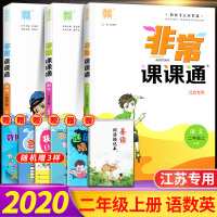 2020秋通城学典非常课课通二年级上册语文人教版数学苏教版SJ英语译林版小学课本同步教材解读讲解练习册教案教师辅导资料江