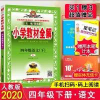 正版2020用 人教版薛金星小学教材全解4四年级下册语文全解教辅书人教版小学四年级下册语文教材全解小学四年级语文同步