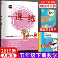 人教版2019新 小学一课一练五年级下册数学RJ人教版小学5下数学同步训练小学五年级教辅练习册一课一练课时训练华东师范大