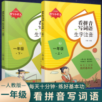 看拼音写词语一年级上册下册人教版 小学1年级上 下语文默写能手汉字字帖同步练习册拼音手册专项训练生字注音写字练字本天天练