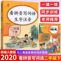 2020新版 看拼音写词语生字注音二年级下册同步训练部编人教版一课一练二年级下默写能手 含单元测试答案可搭小学二年级下册