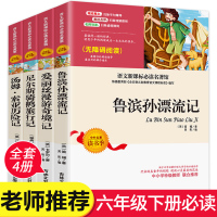 全套4册鲁滨逊漂流记正版爱丽丝漫游奇境尼尔斯骑鹅旅行记汤姆索亚历险记小学生版六年级下必读课外阅读书籍6原著小学鲁滨孙鲁宾