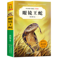 眼镜王蛇 中外动物小说精品升级版 动物小说大王沈石溪等著 9-12岁儿童文学读物三四五六年级小学生课外阅读书 安徽少年儿