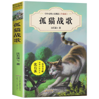 正版 孤猫战歌 中外动物小说精品升级版 沈石溪经典动物小说系列 7-14岁儿童文学读物三四五年级小学生课外阅读书籍动