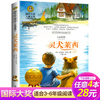 [4本28元系列]灵犬莱西 正版图书 国际大奖儿童文学美绘典藏版 9-10-12岁小学生课外阅读书籍书三四五六年级必
