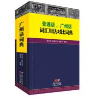 正版 粤语广东话词汇用法对比词典常用词汇指导书工具书词典