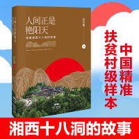 新书 人间正是艳阳天 湘西十八洞的故事 彭学明/著 精准扶贫战略思想首倡地脱贫致富的发展史全景展示湘西独特风情纪实文