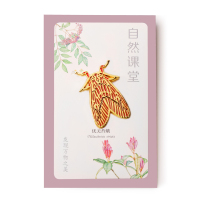 广东文创 自然课堂系列 优美苔蛾胸针 文艺装饰品 旅游纪念