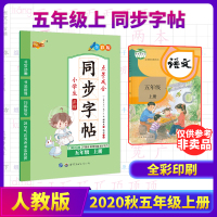 五年级语文人教版上册同步字帖正楷书法硬笔书法教材暑假写字天天练字帖入门写字教程三步练字法钢笔字点墨成金衡中体常用成语