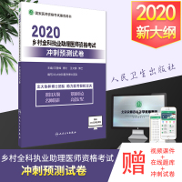 2020版乡村全科执业助理医师资格考试冲刺预测试卷 京师杏林2020年乡村全科执业助理医师考试用书籍 教材资料 人民卫生
