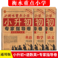 2020新版小升初毕业总复习模拟试卷语文数学英语全套系统总复习人教部编版真题试卷小学升初中小考试卷子套卷小升初总复习资料